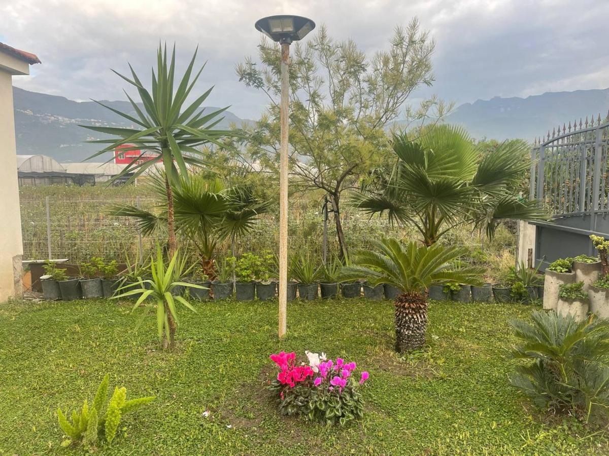 Santa Maria La Carità Casa Vacanze Paradise מראה חיצוני תמונה