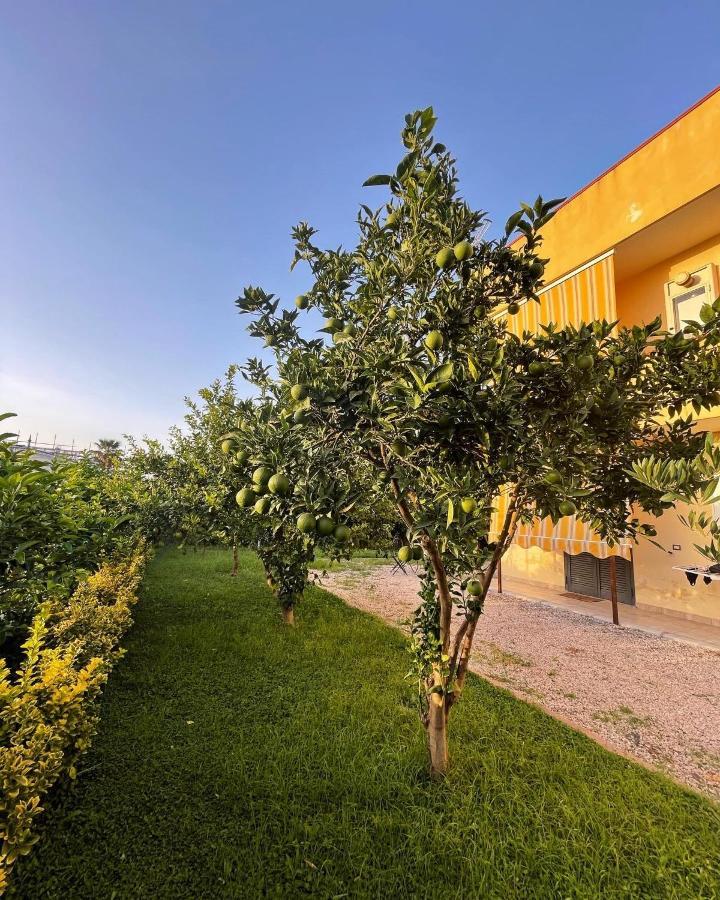 Santa Maria La Carità Casa Vacanze Paradise מראה חיצוני תמונה