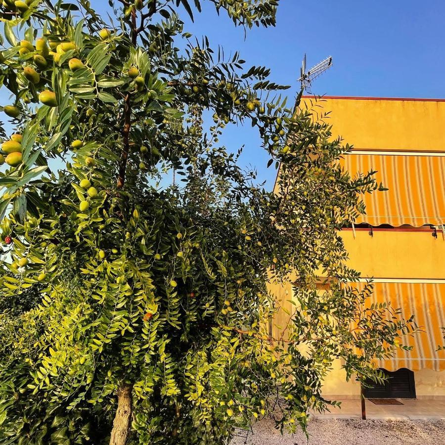 Santa Maria La Carità Casa Vacanze Paradise מראה חיצוני תמונה