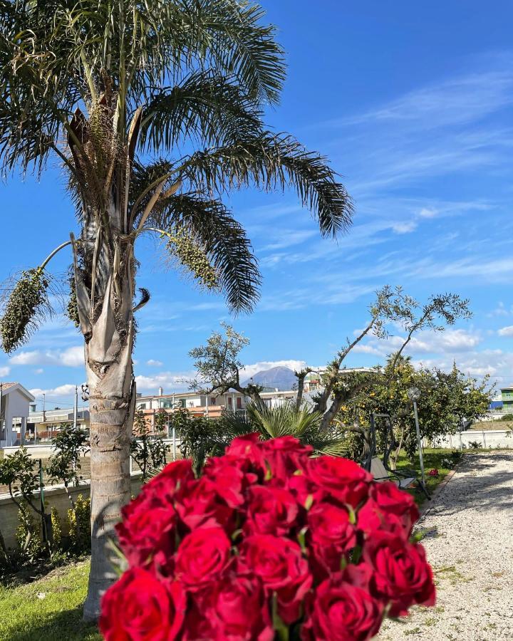 Santa Maria La Carità Casa Vacanze Paradise מראה חיצוני תמונה