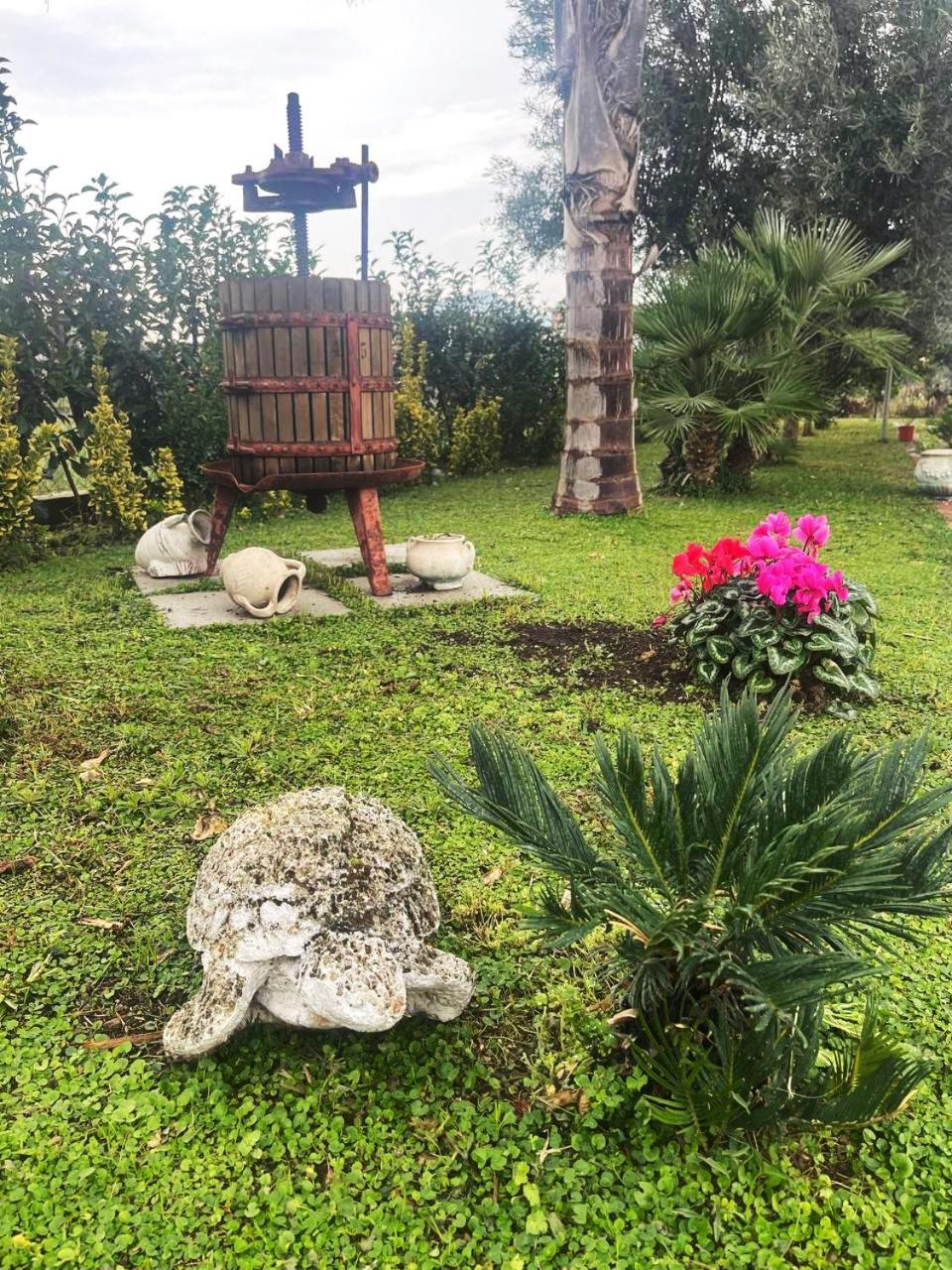 Santa Maria La Carità Casa Vacanze Paradise מראה חיצוני תמונה