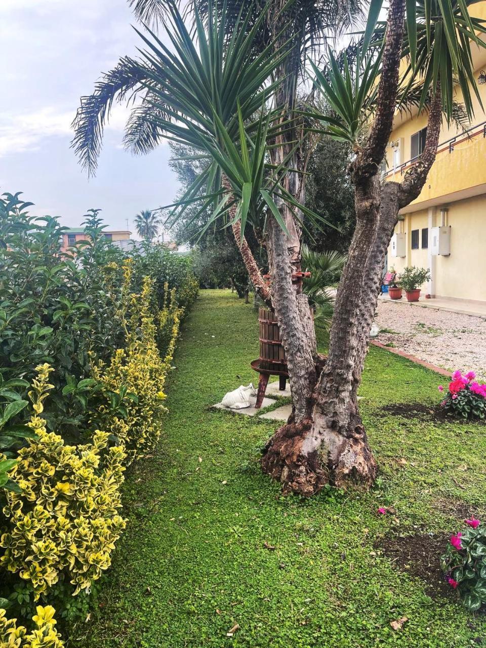 Santa Maria La Carità Casa Vacanze Paradise מראה חיצוני תמונה