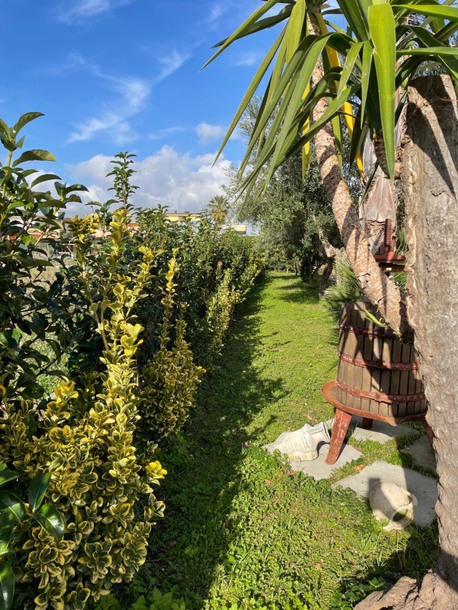 Santa Maria La Carità Casa Vacanze Paradise מראה חיצוני תמונה