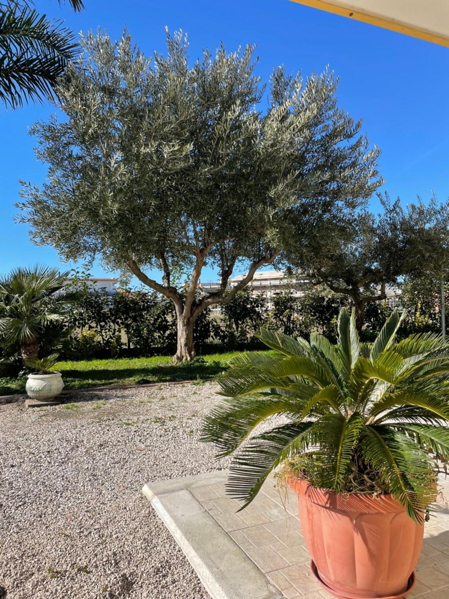 Santa Maria La Carità Casa Vacanze Paradise מראה חיצוני תמונה