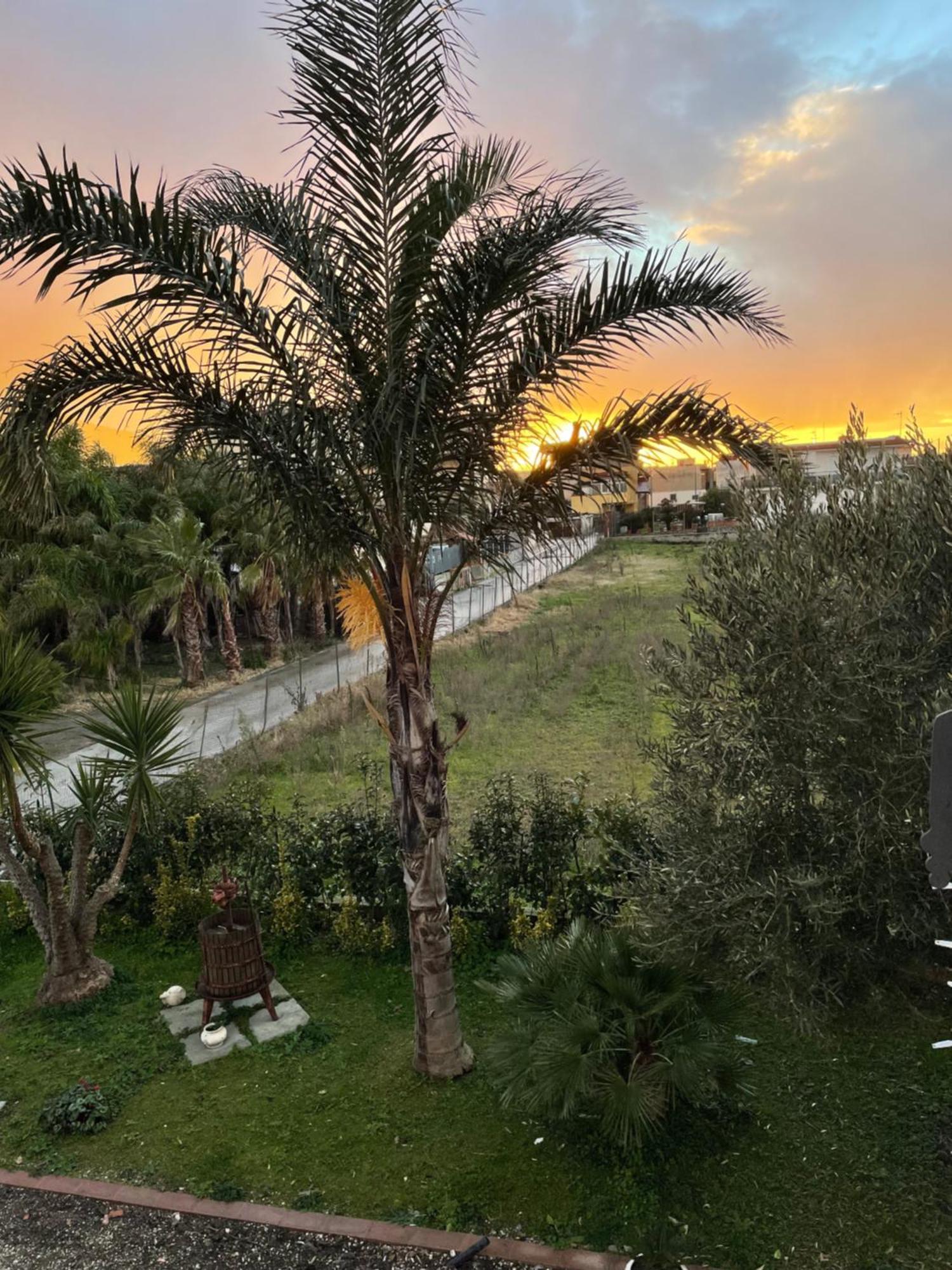 Santa Maria La Carità Casa Vacanze Paradise מראה חיצוני תמונה
