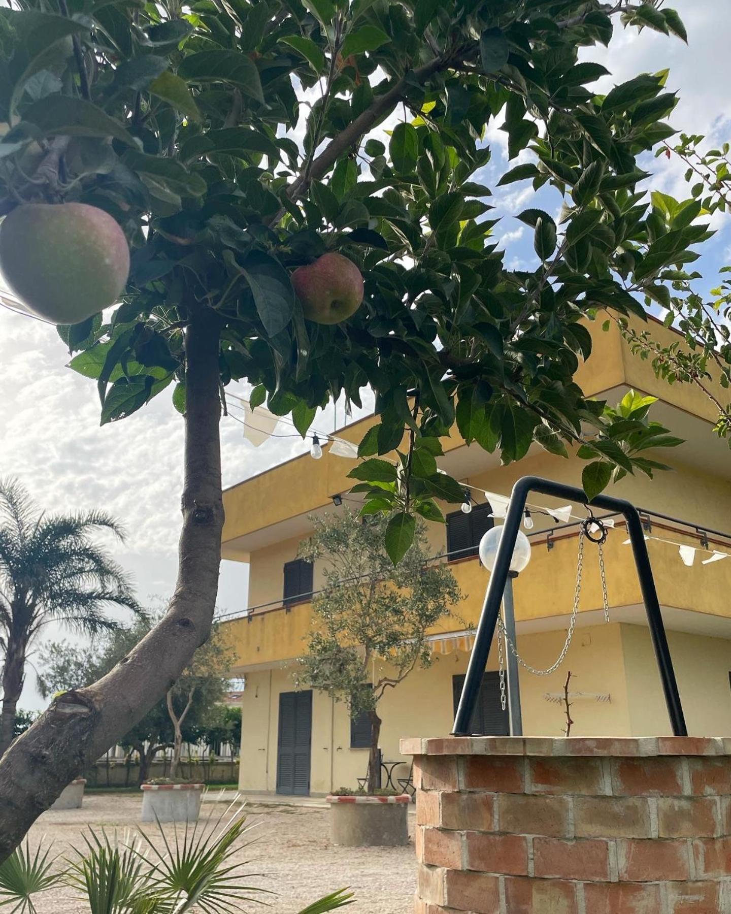 Santa Maria La Carità Casa Vacanze Paradise מראה חיצוני תמונה